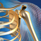 Arthroscopy Surgeon in Ahmedabad